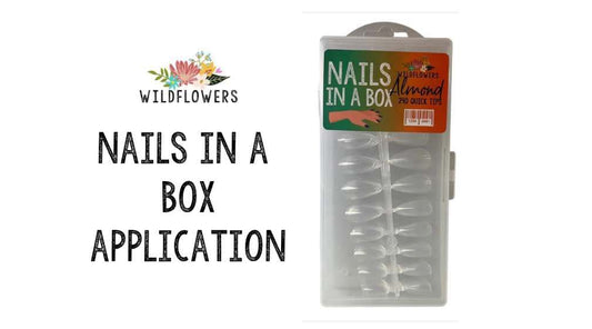 Nails in a Box Application